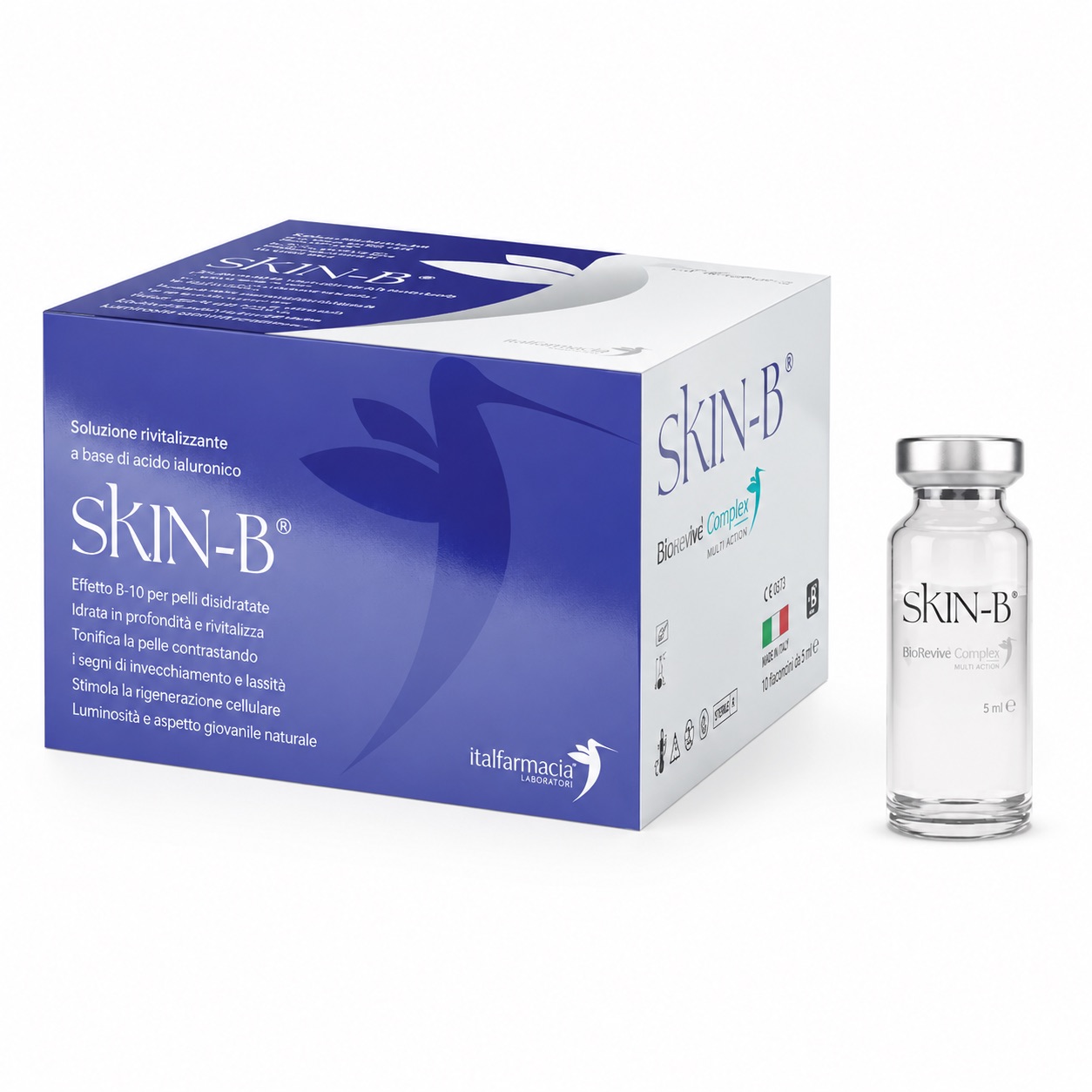 Skin B